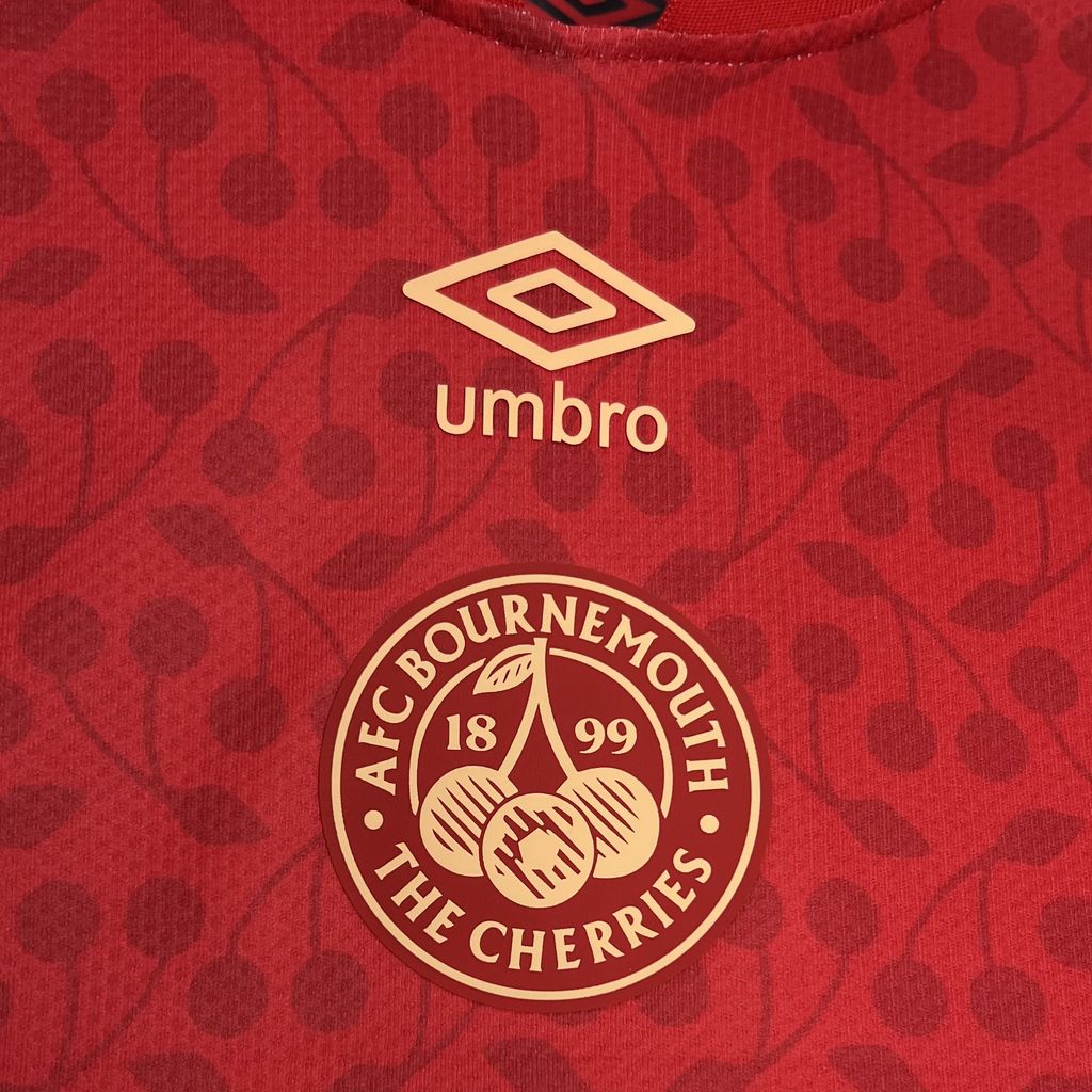 Bournemouth Maillot 2024/25 Edition Spécial Rouge