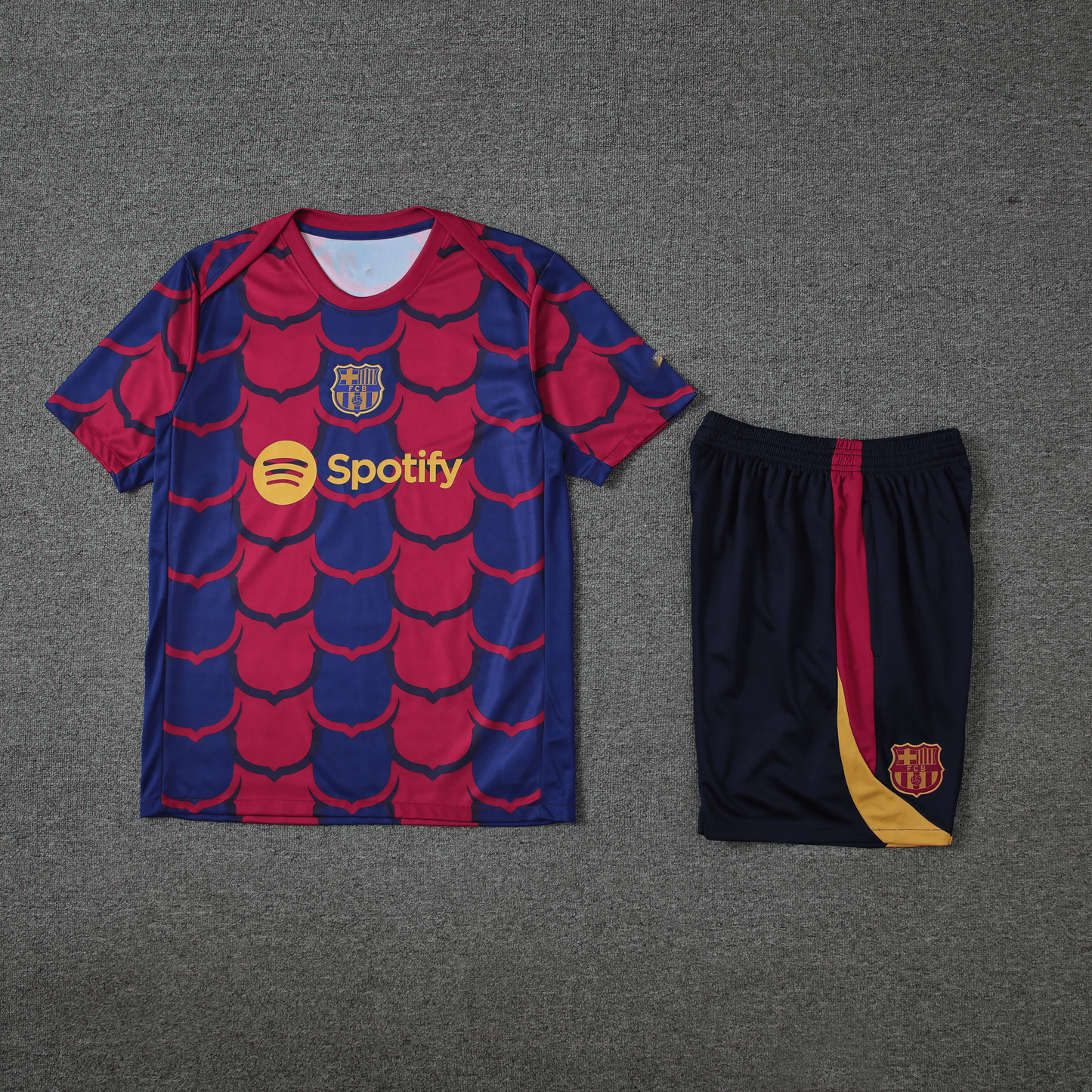 Kit Entraînement Adulte FC Barcelone 24/25
